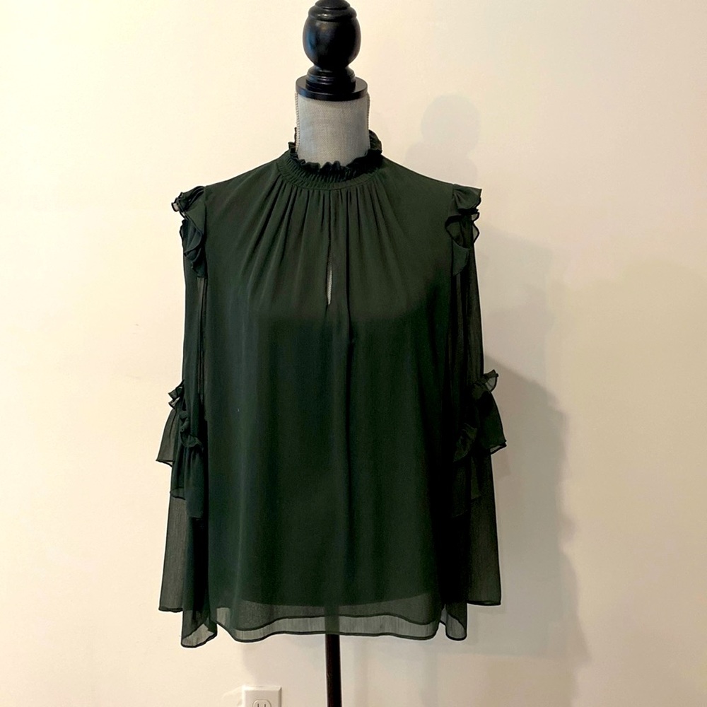 Zara sheer ruffle top